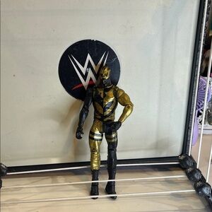WWE Action Figure in Black and Gold